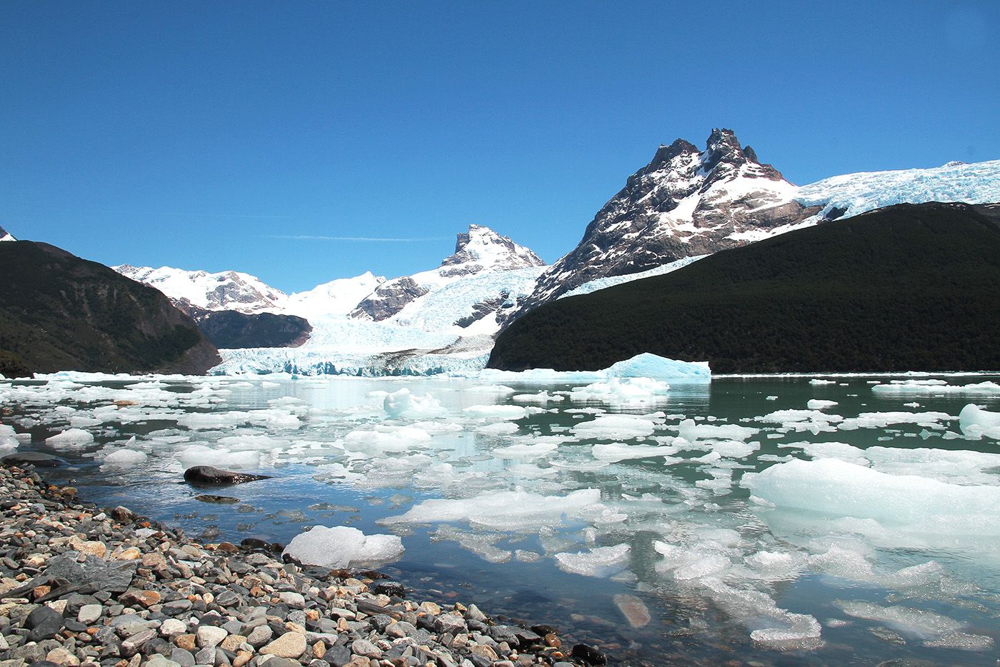 Bahia de los glaciares